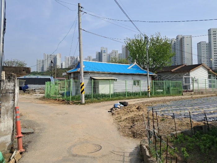 본건 토지 전경(북서측에서 촬영)