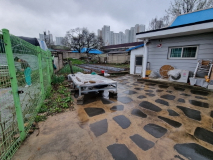 주택 마당과 텃밭