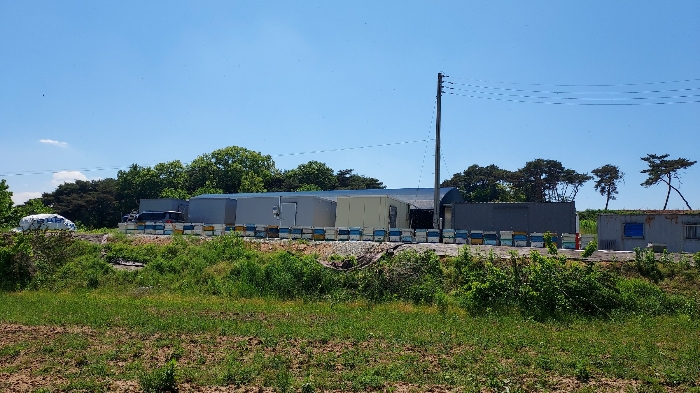 일련번호 1,3 제시외건물 ㅁ-ㅈ