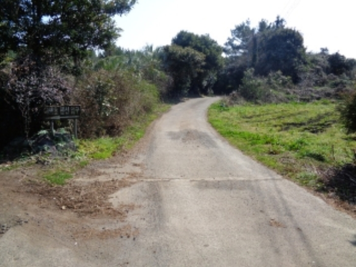 본건 부동산 인