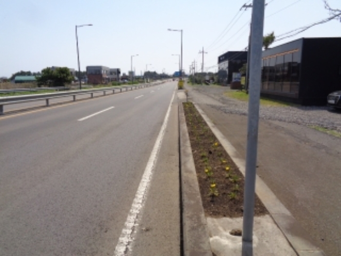 본건(종달리 2764-16) 인접 도로 전경