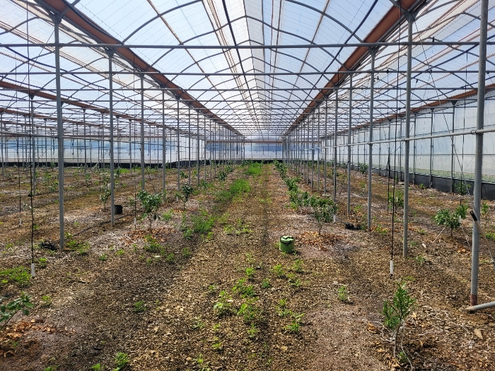 제시외건물 ㄱ)