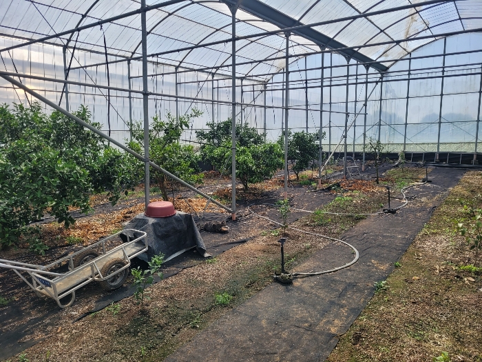 제시외건물 ㄴ)