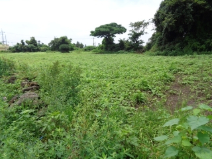 본건 소재지 전경 사진