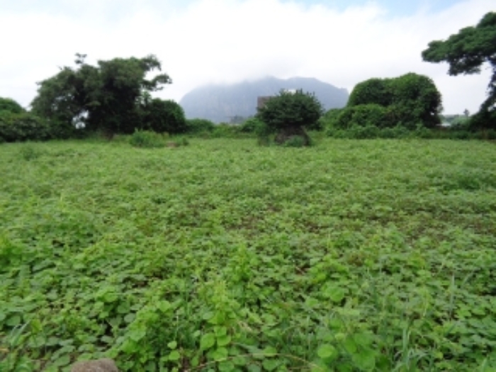 본건 소재지 전경 사진