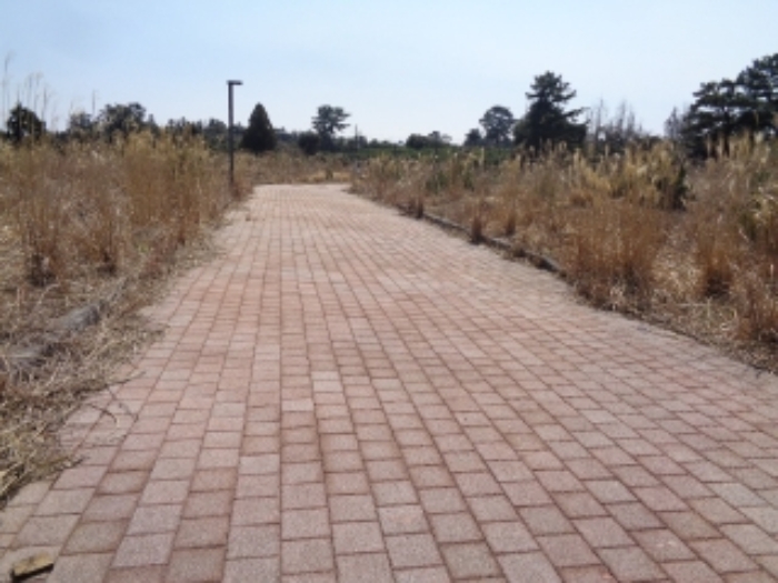 - 소재지5.(삼달리 2265-31) 도로