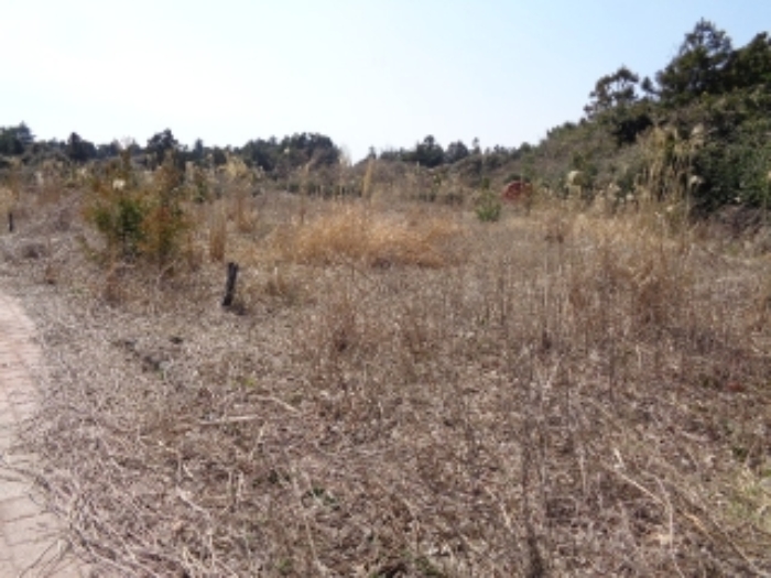 - 소재지1.(삼달리 2265-1) 대지

