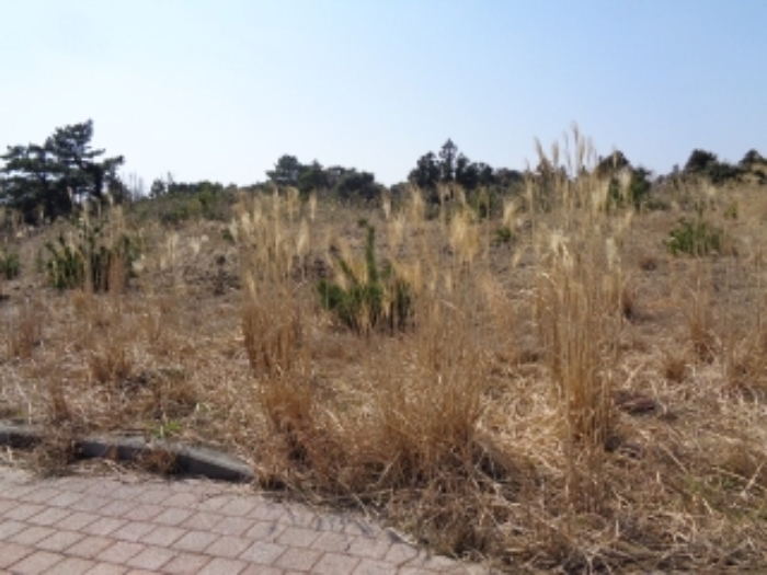 - 소재지2.(삼달리 2265-14) 대지

