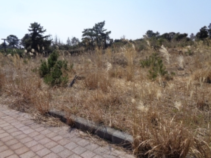 - 소재지3.(삼달리 2265-15) 대지

