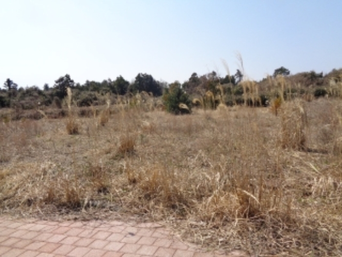 - 소재지4.(삼달리 2265-2) 대지

