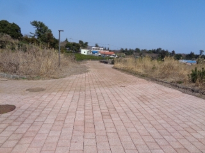 - 소재지5.(삼달리 2265-31) 도로

