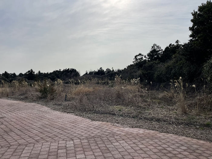 기호(1) 전경
(촬영위치 : 본건 북동측)