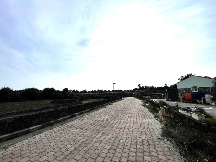 기호(5) 전경
(촬영위치 : 본건 북동측)