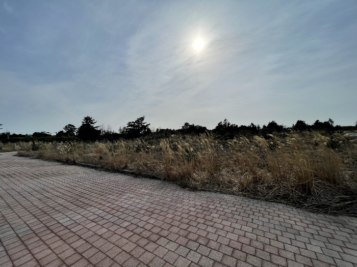 기호(2) 전경
(촬영위치 : 본건 북동측)