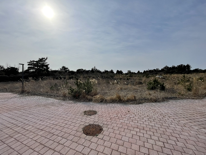 기호(3) 전경
(촬영위치 : 본건 북동측)