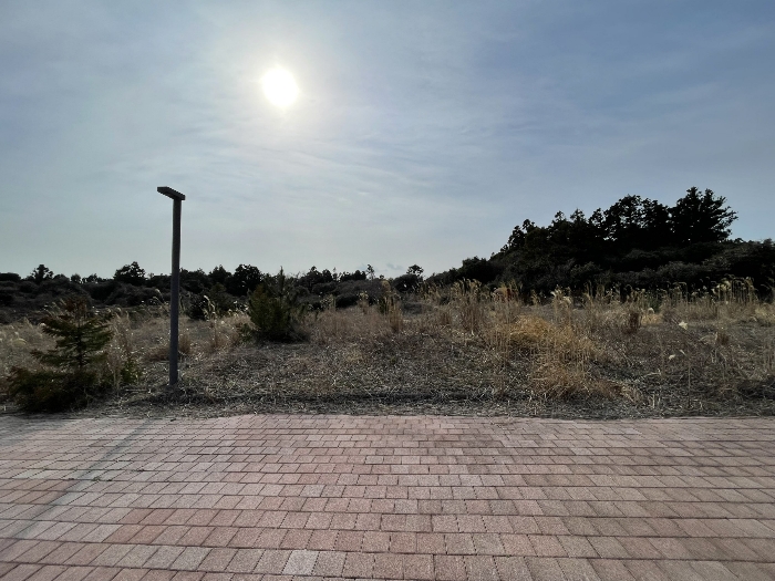 기호(4) 전경
(촬영위치 : 본건 동측)