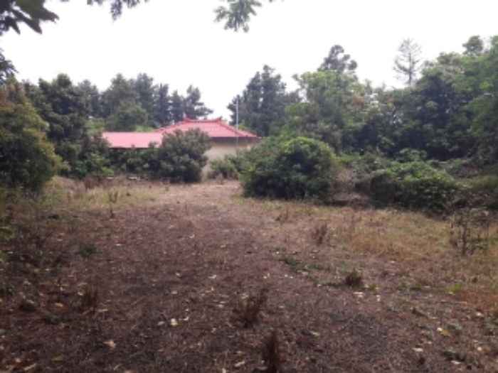 소재지2.(온평리 1339-2) 전경