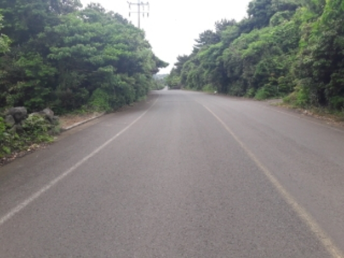 본건 토지 인접 도로 전경