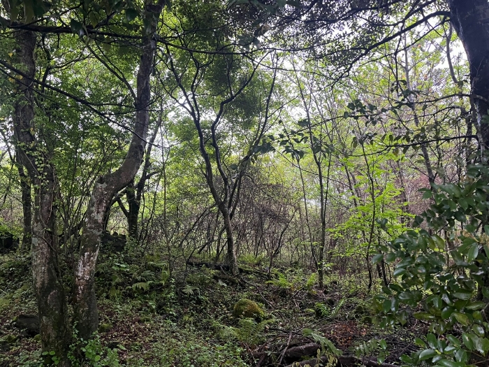 일련번호(1) 전경