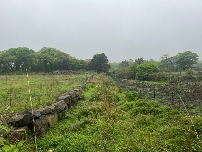 일련번호(1) 전경