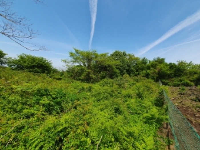 본건(교래리 산99-3) 전경