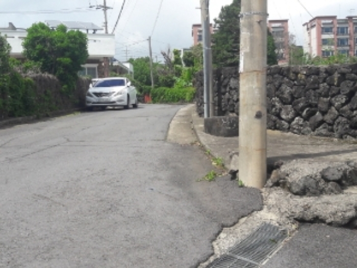 본건 부동산 인