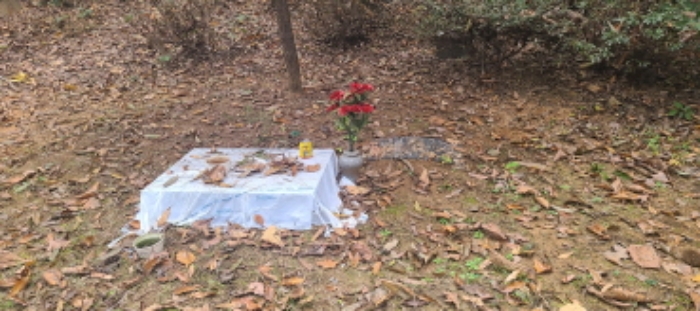 이건 목록 토지상 제시외 수목장(?) 전경