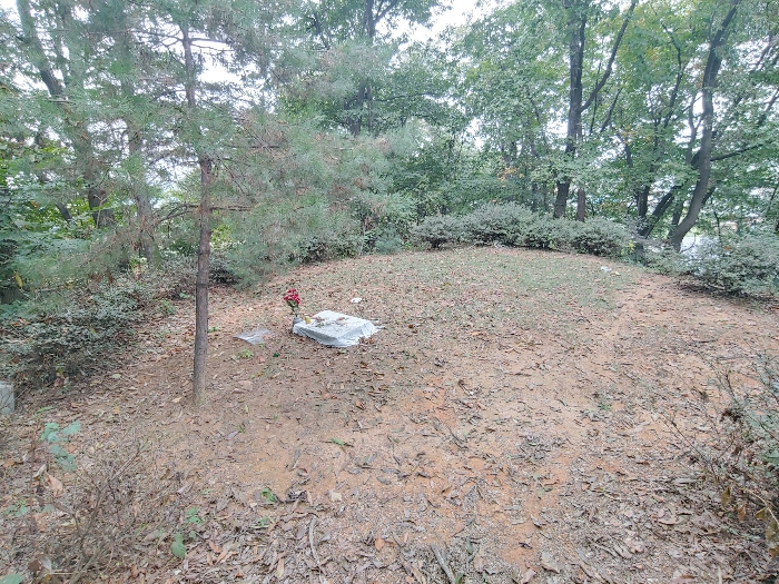 봉분 없는 묘 전경