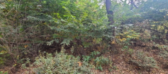 이건 목록 토지 전경(1)