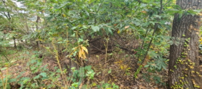 이건 목록 토지 전경(2)