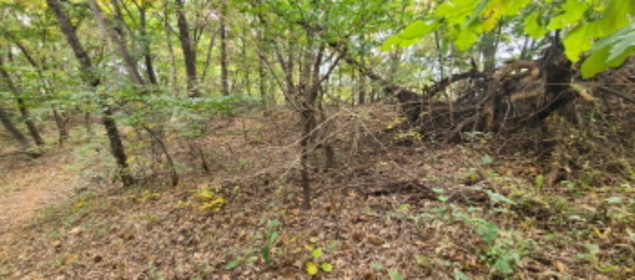 이건 목록 토지 전경(4)