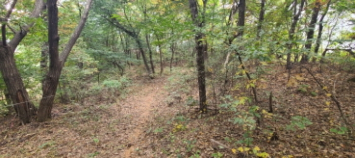 이건 목록 토지 전경(5)