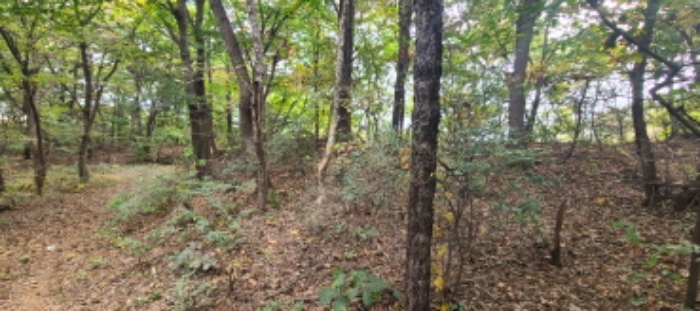 이건 목록 토지 전경(6)