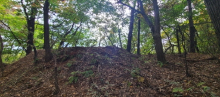 이건 목록 토지 전경(7)