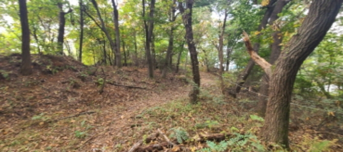 이건 목록 토지 전경(8)