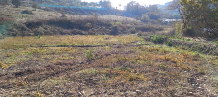 목록 2. 토지 전경