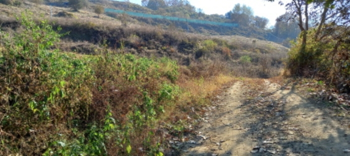 목록 2. 토지 전경