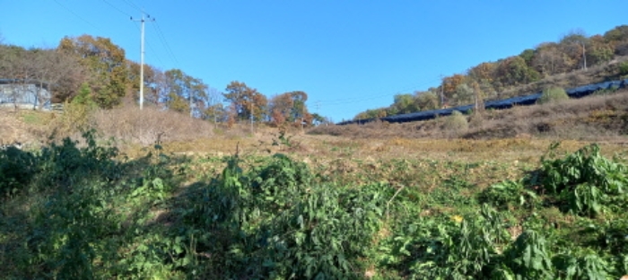 목록 2. 토지 전경