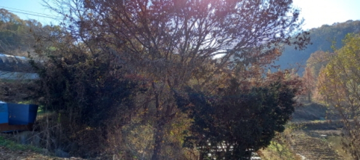 목록 3. 토지 전경