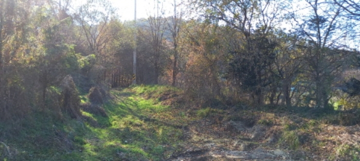 목록 3. 토지 전경