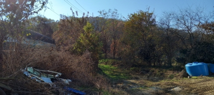 목록 3. 토지 전경