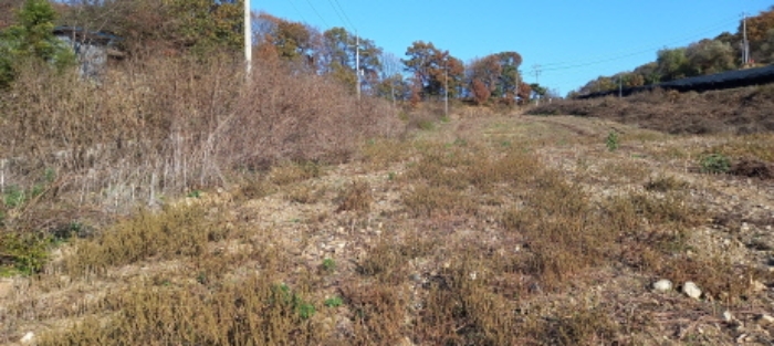 목록 1. 및 목록 2. 토지 전경