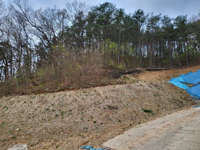 기호 1 (국수리 509-89)