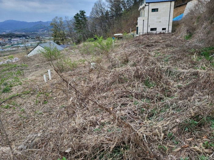 기호 2, 3 (국수리 509-92, 93)