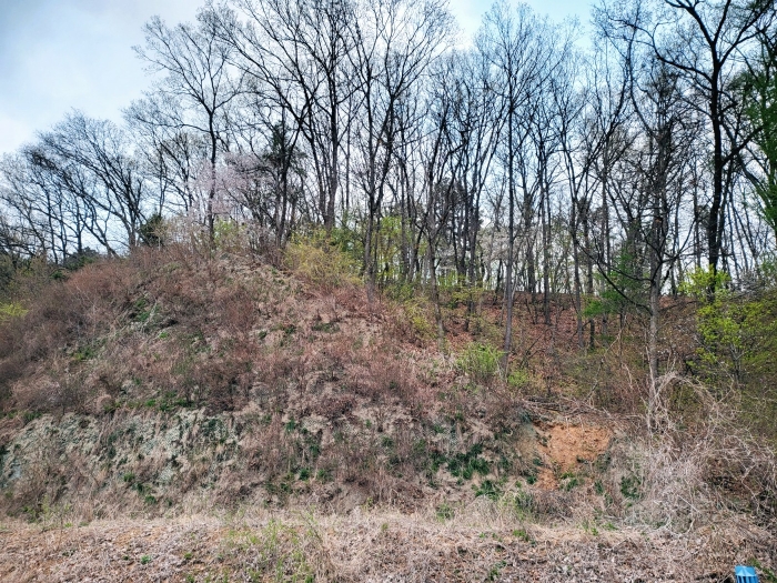 기호 6 (국수리 산65-13)