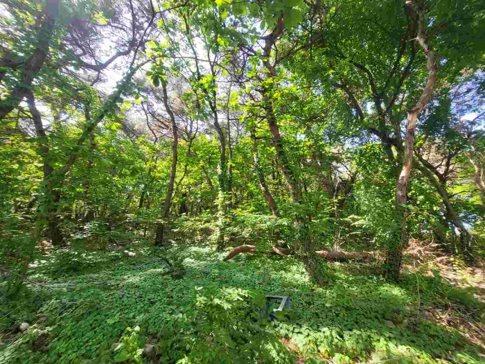 제시 목록 부동산