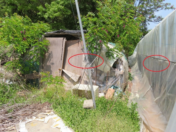 제시외 지장물(비닐하우스 2동)