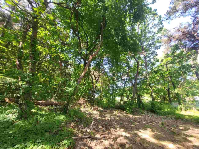 제시 목록 부동산