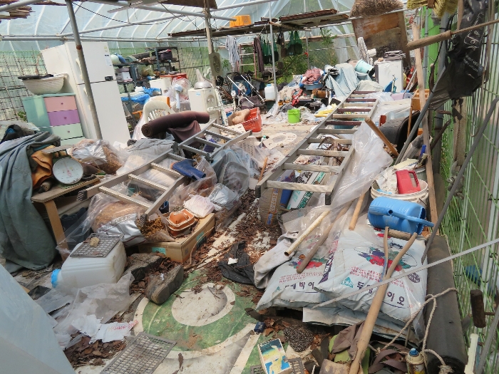 비닐하우스 내부