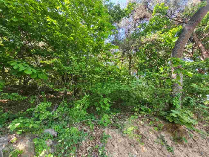 제시 목록 부동산